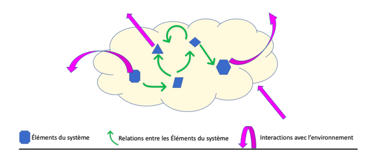 Approche Syst Mique Une D Finition Les Apprenantes